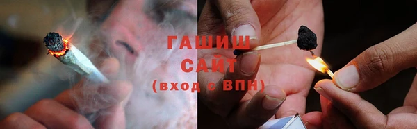 тгк Бородино