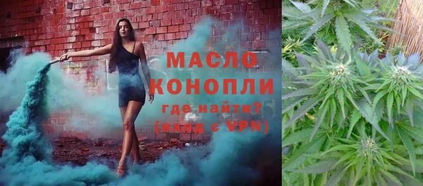 тгк Бородино