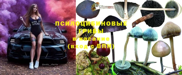 ГАЛЛЮЦИНОГЕННЫЕ ГРИБЫ Бронницы