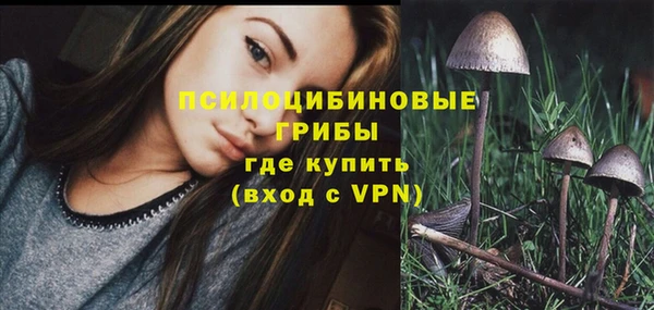тгк Бородино