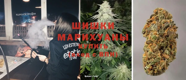 ГАЛЛЮЦИНОГЕННЫЕ ГРИБЫ Бронницы