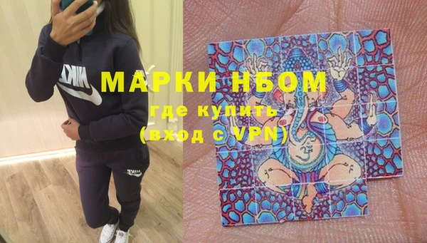 тгк Бородино