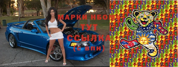 тгк Бородино
